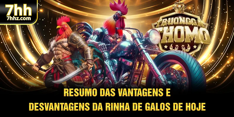 Resumo das vantagens e desvantagens da Rinha de Galos de Hoje